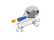 Space Dogs